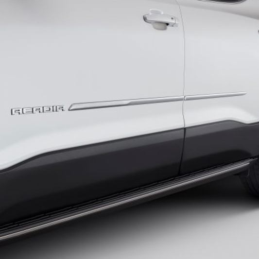 GMC Door Mouldings - Chrome 84352495